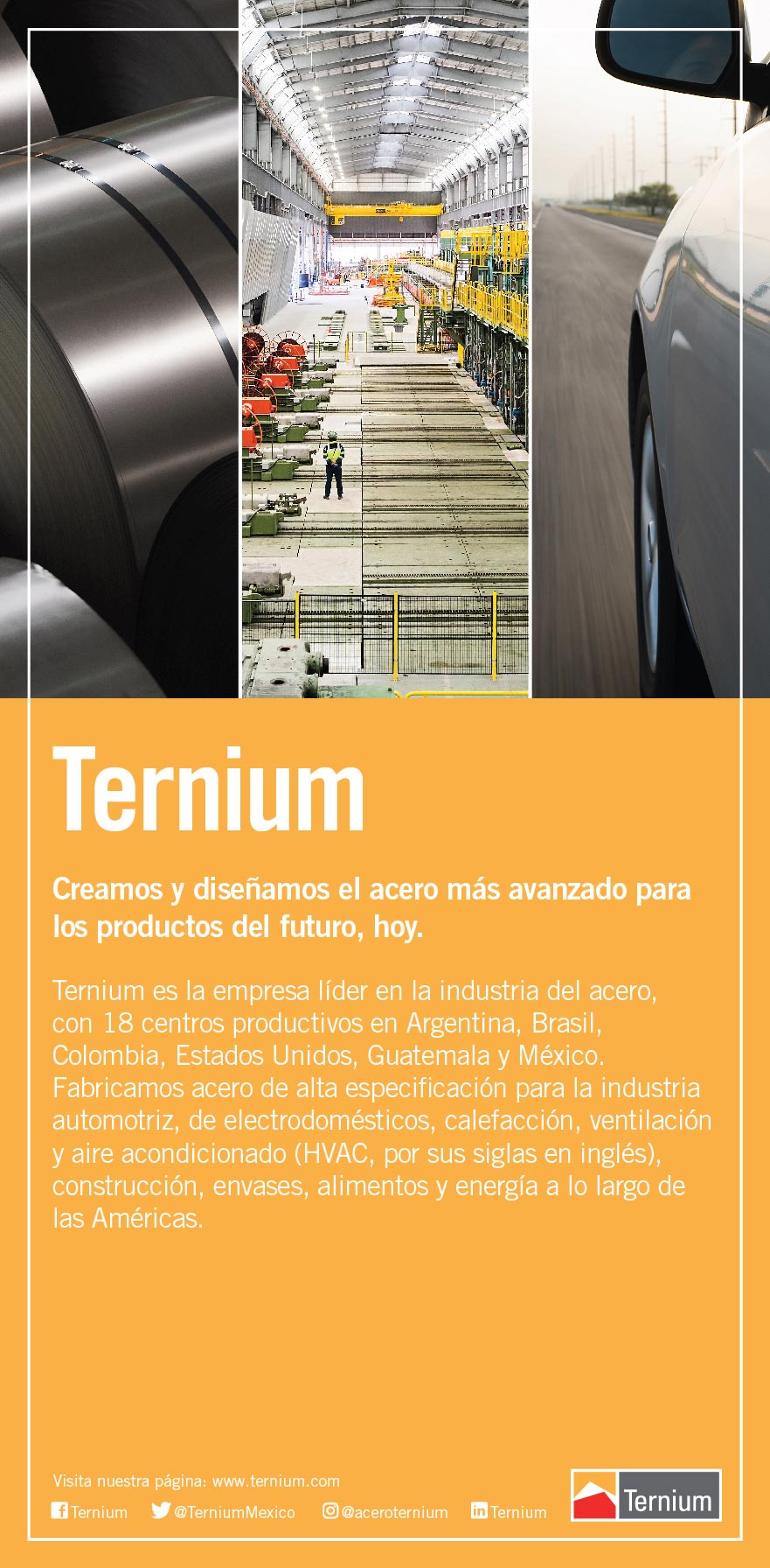 TERNIUM-movil