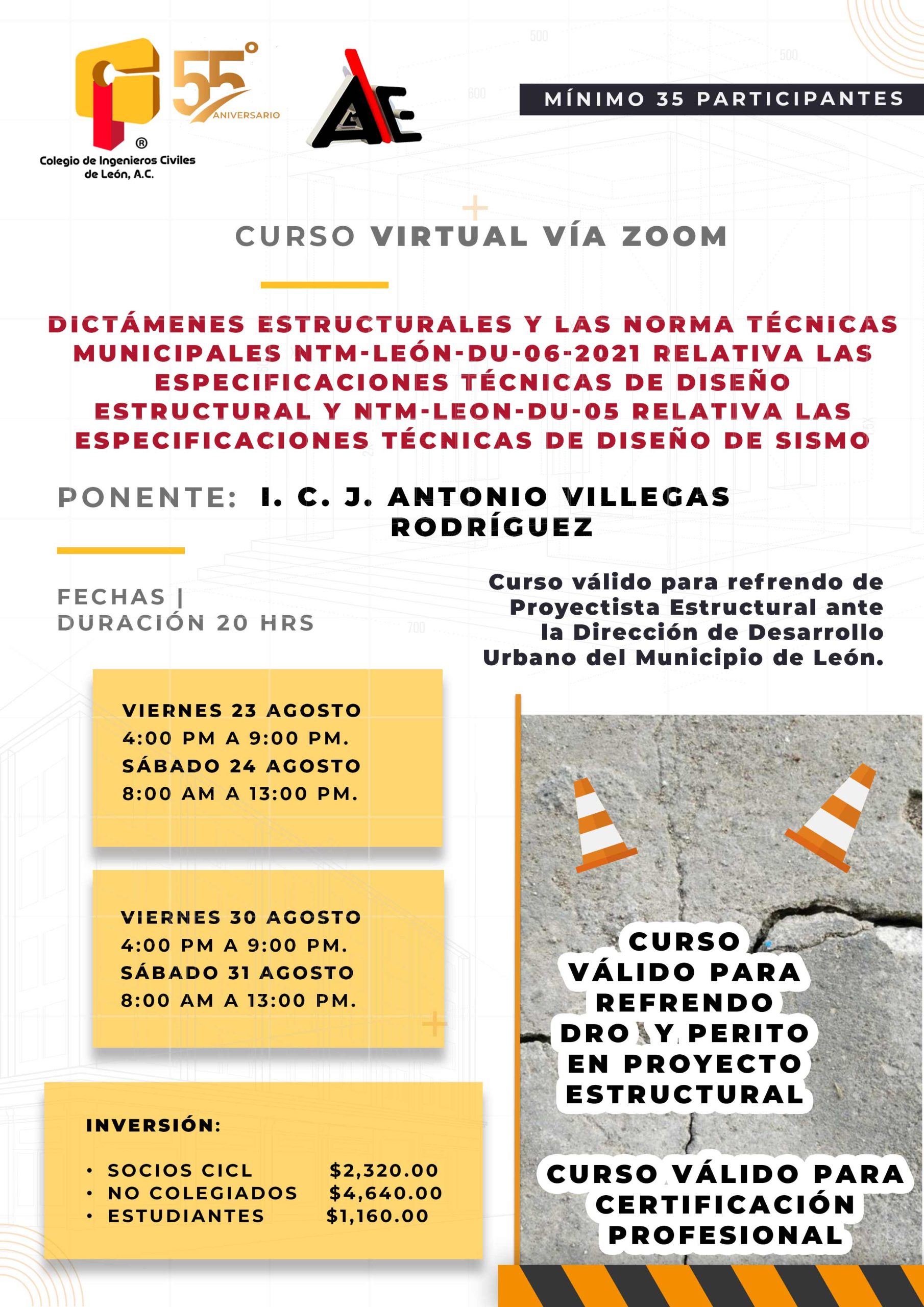 curso-dictamenes-estructuralesok