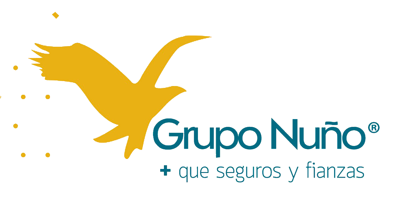 logo-grupo-nuno