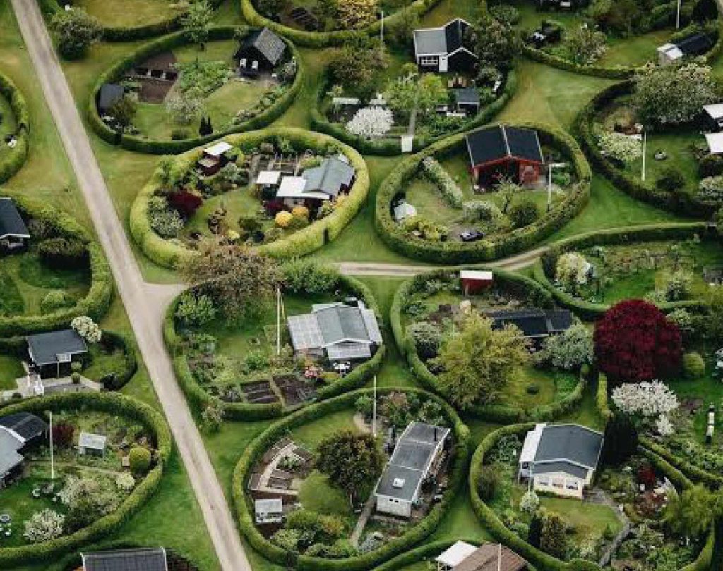 Albus | Jardines Ovalados de Nærum Ed 02 - Magazone